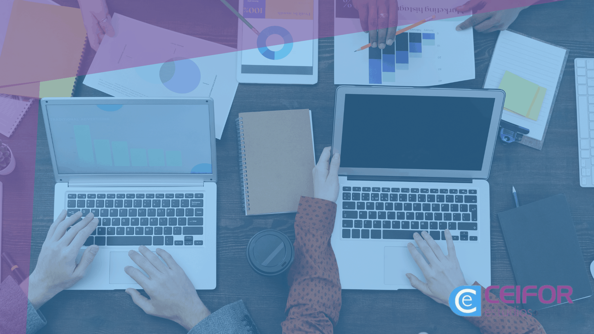 Fundamentos del Marketing